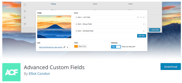 Screenshot of advanced custom fields from wordpress.org