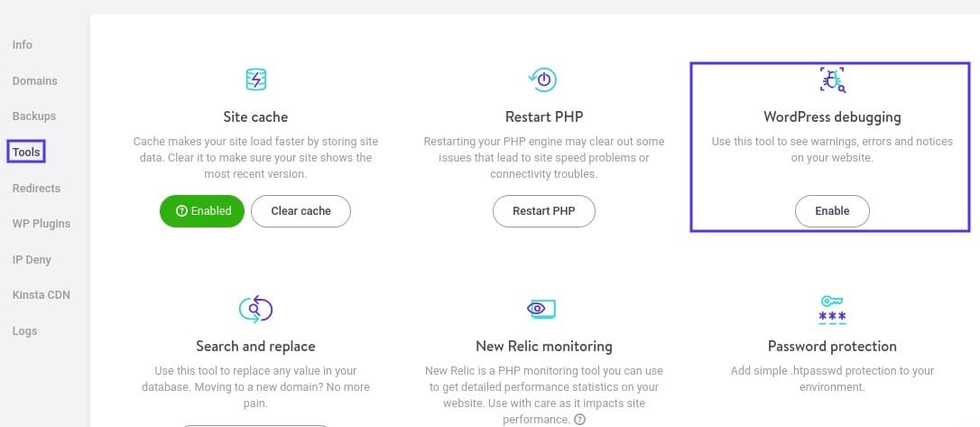 kinsta debugging tool