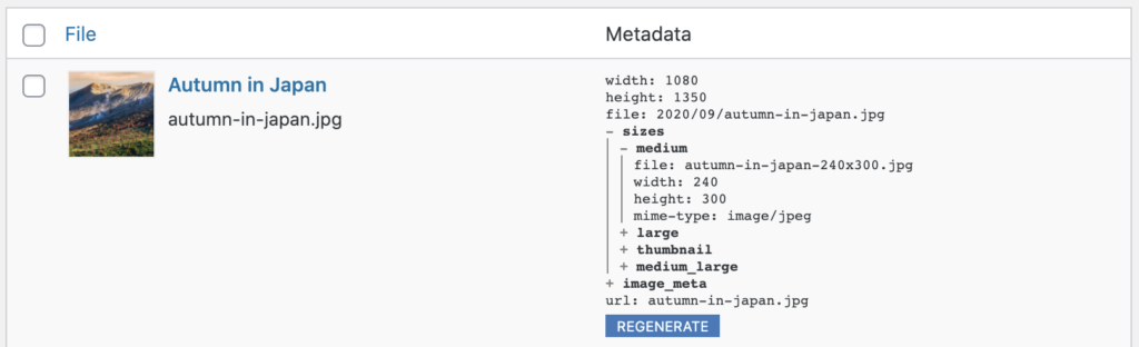 Media-Library-Media-Metadata