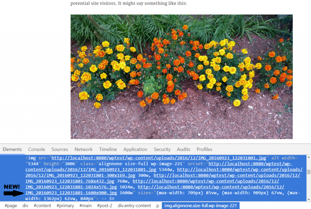 wordpress responsive images example